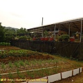 P1050556.jpg