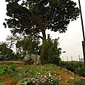 P1050557.jpg