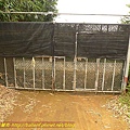P1050564.jpg