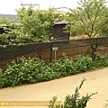 P1050565.jpg