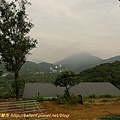 P1050566-1.jpg