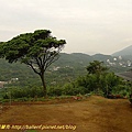P1050567.jpg