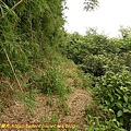P1050569.jpg