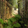 P1050577.jpg