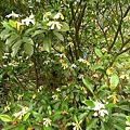 P1050511.jpg