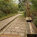 P1060815.jpg