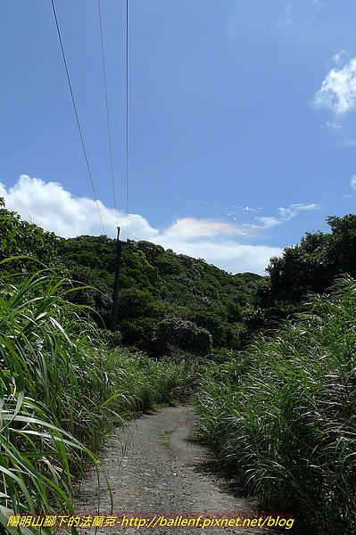 P1020364.jpg