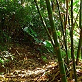 P1060775.jpg