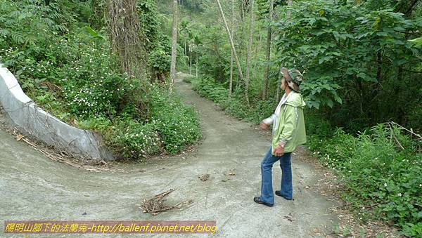 P1210899.jpg P1210899.jpg