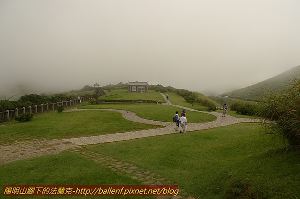 P1050084.jpg