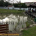 P1070702.jpg