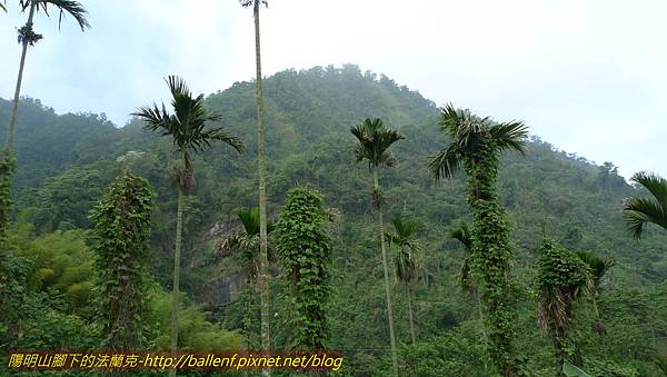 P1210889.jpg P1210889.jpg