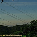 P1060730.jpg