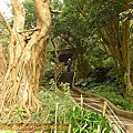 P1070815.jpg