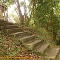 P1070807.jpg