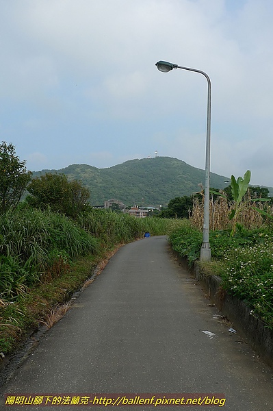 P1020810.jpg