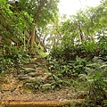 P1060783.jpg
