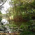 P1050242.jpg