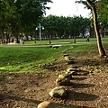 P1070688.jpg
