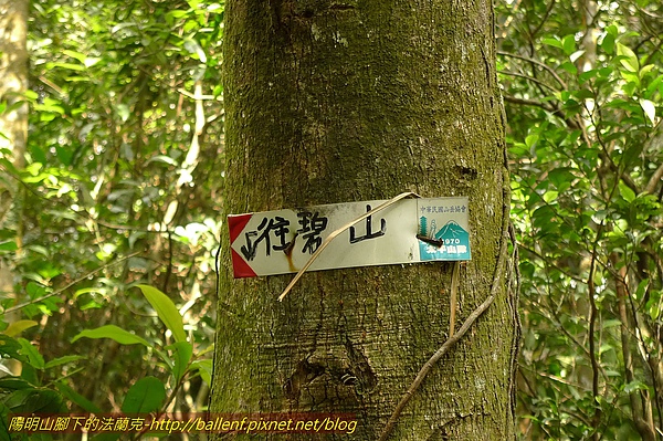 P1060489.jpg