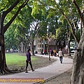 P1070694.jpg