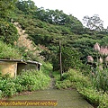 P1070760.jpg