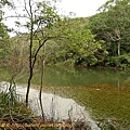P1050231.jpg