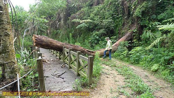 P1210884.jpg P1210884.jpg