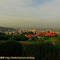 P1000517.jpg