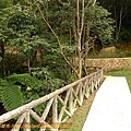 P1050259.jpg