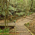 P1060843.jpg
