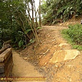 P1050260.jpg