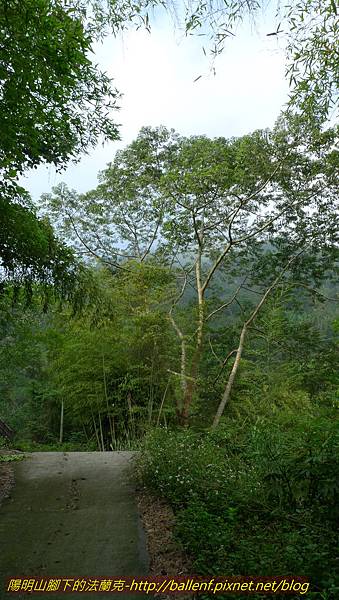 P1210870.jpg P1210870.jpg