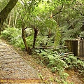 P1060854.jpg