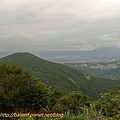 P1050188.jpg
