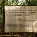 P1070808.jpg