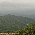 P1050190.jpg