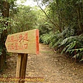 P1050201.jpg