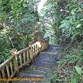 P1070776.jpg