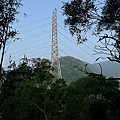 P1070778.jpg