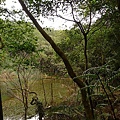 P1050224.jpg