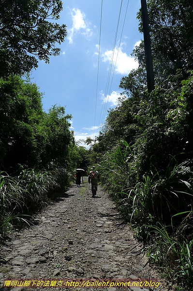 P1020362.jpg
