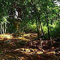 P1060722.jpg