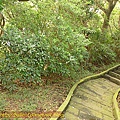 P1070793.jpg