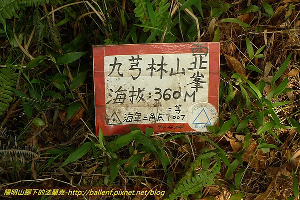 P1010492.jpg