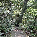 P1070765.jpg