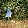 P1050169.jpg