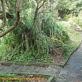 P1070782.jpg