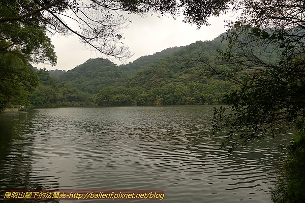 P1060708.jpg