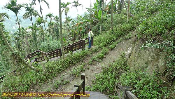 P1210895.jpg P1210895.jpg